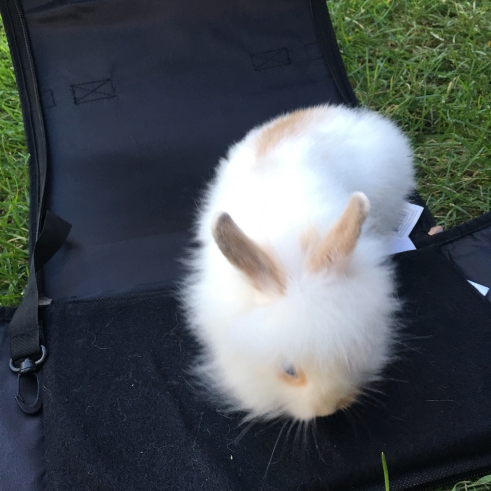 Meet your Posher, Haley