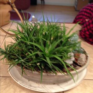 Meet your Posher, Rhonda