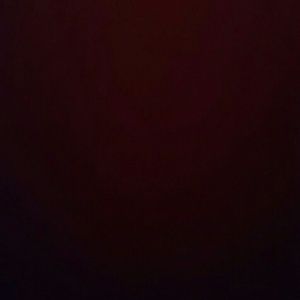 Meet your Posher, Dante