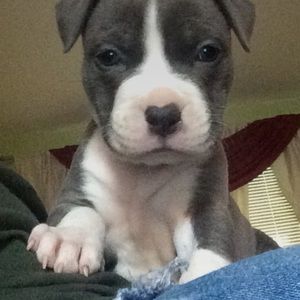 Meet your Posher, Maria