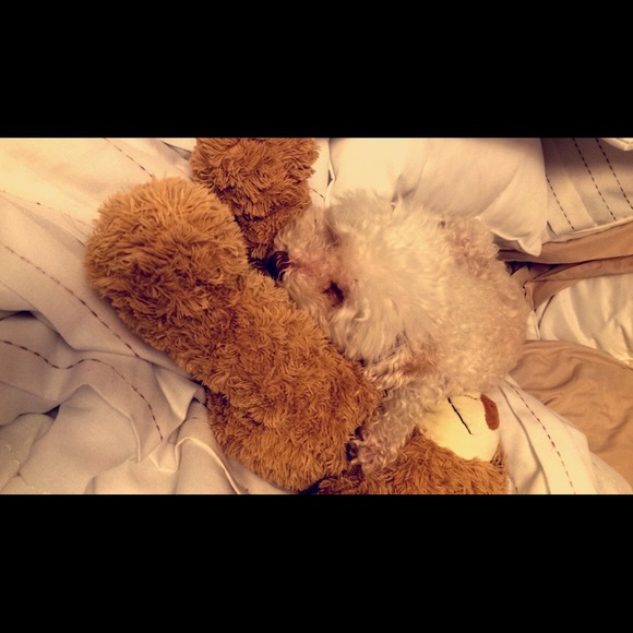 Meet your Posher, Kev - Picture 2 of 4