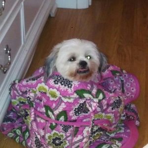 Meet your Posher, Amanda