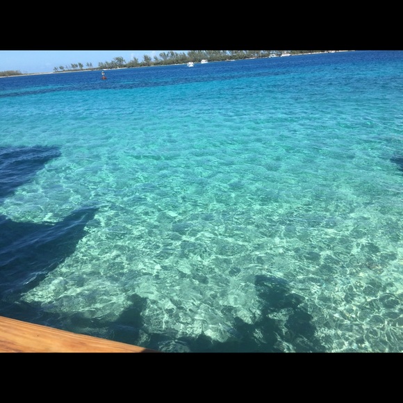 Meet your Posher, Tristan - Picture 1 of 1