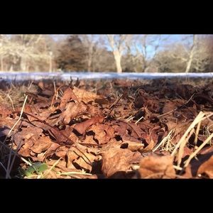 Meet your Posher, Cali