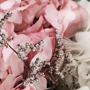 Meet your Posher, Amelia