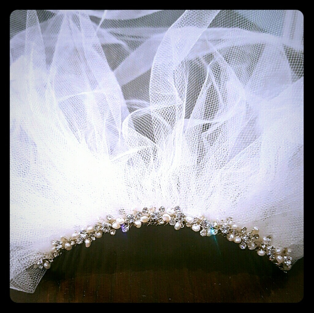 NWT- Wedding Cage Veil