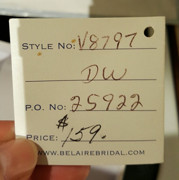 NWT- Wedding Cage Veil
