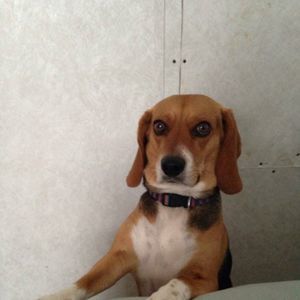 Meet your Posher, Lori