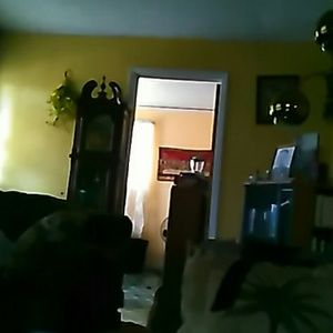 Meet your Posher, Janice