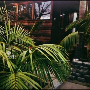 Reserved for Nedington1