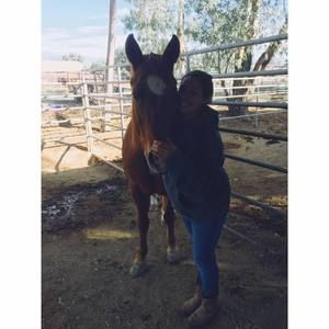 Meet your Posher, Clarice