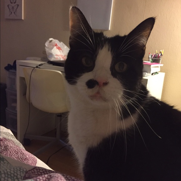 Meet your Posher, Amanda - Picture 2 of 2