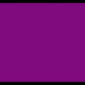 Meet your Posher, Rose