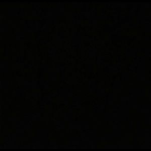 Meet your Posher, Ray