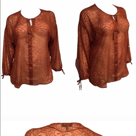 Lane Bryant Tops - Sparkly sheer peasant top