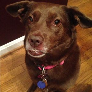 Meet your Posher, Tonya