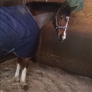 Meet your Posher, Brooke