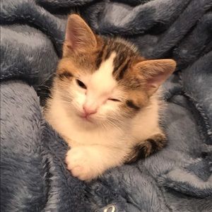 Meet your Posher, Maria