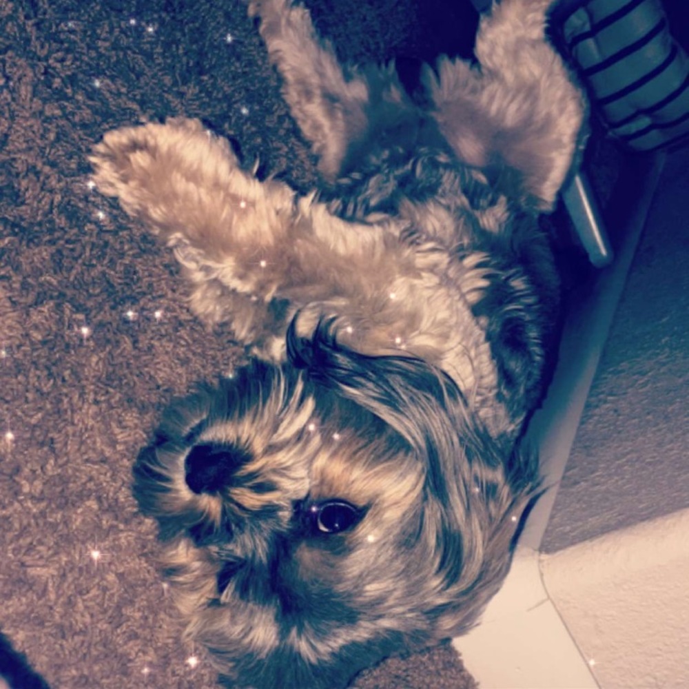 Meet your Posher, Elizabeth