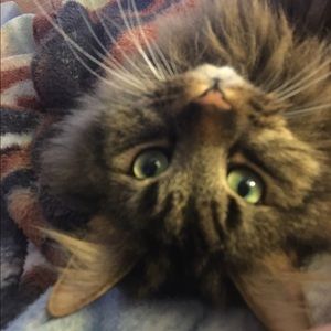 Meet your Posher, Jade