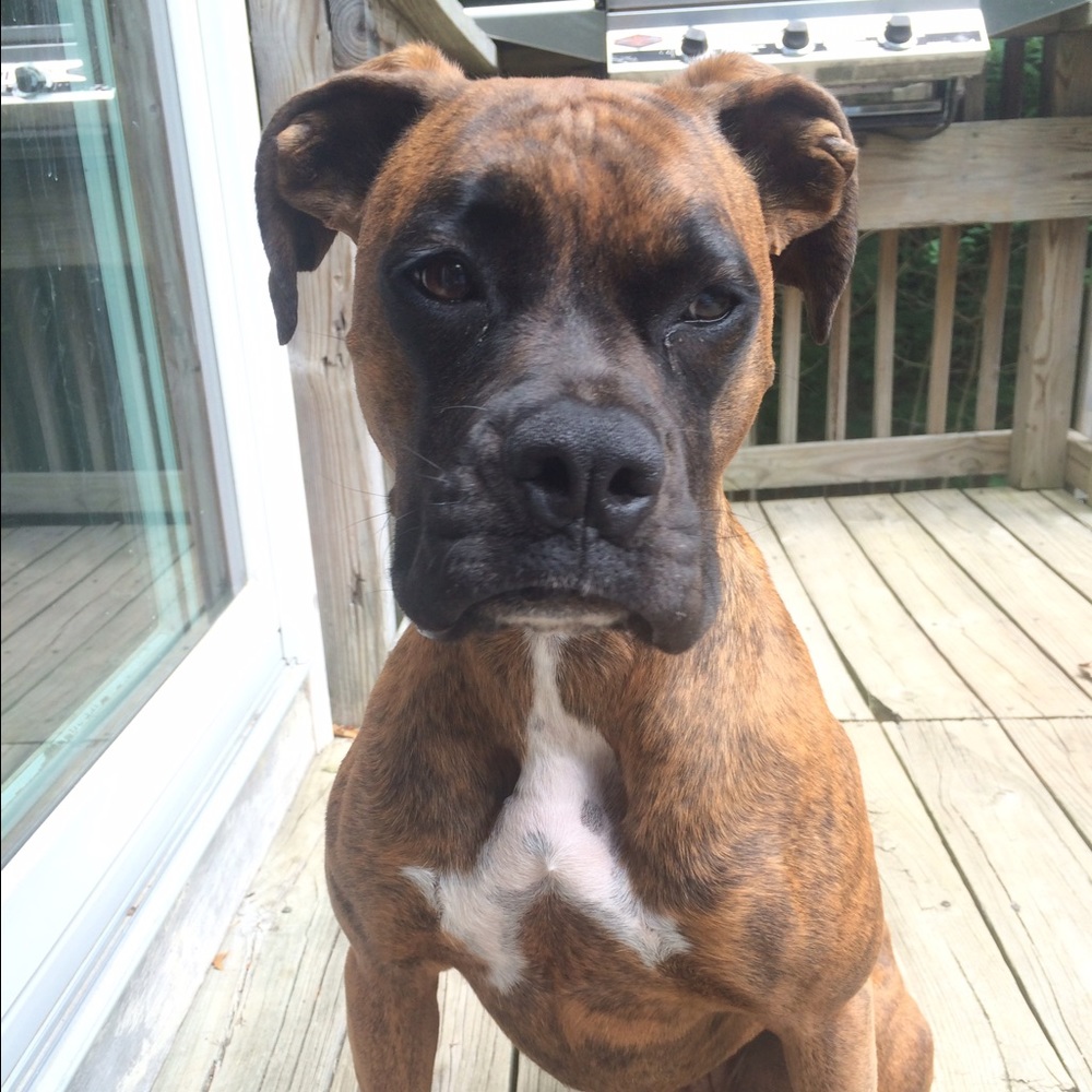 Meet your Posher, Layla