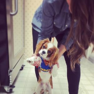 Meet your Posher, Jenny