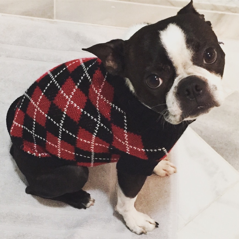 Meet your Posher, Rachelle