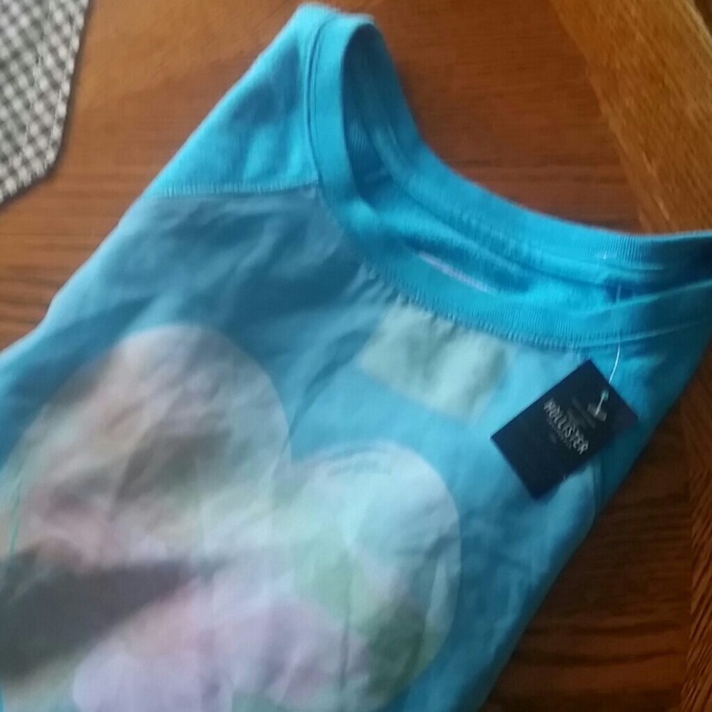 Hollister sheer crew sweatshirt