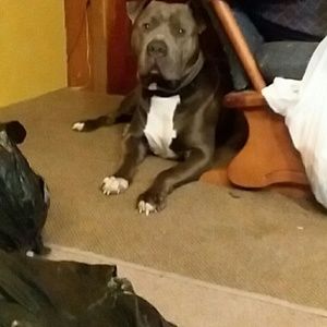 Meet your Posher, Destiny