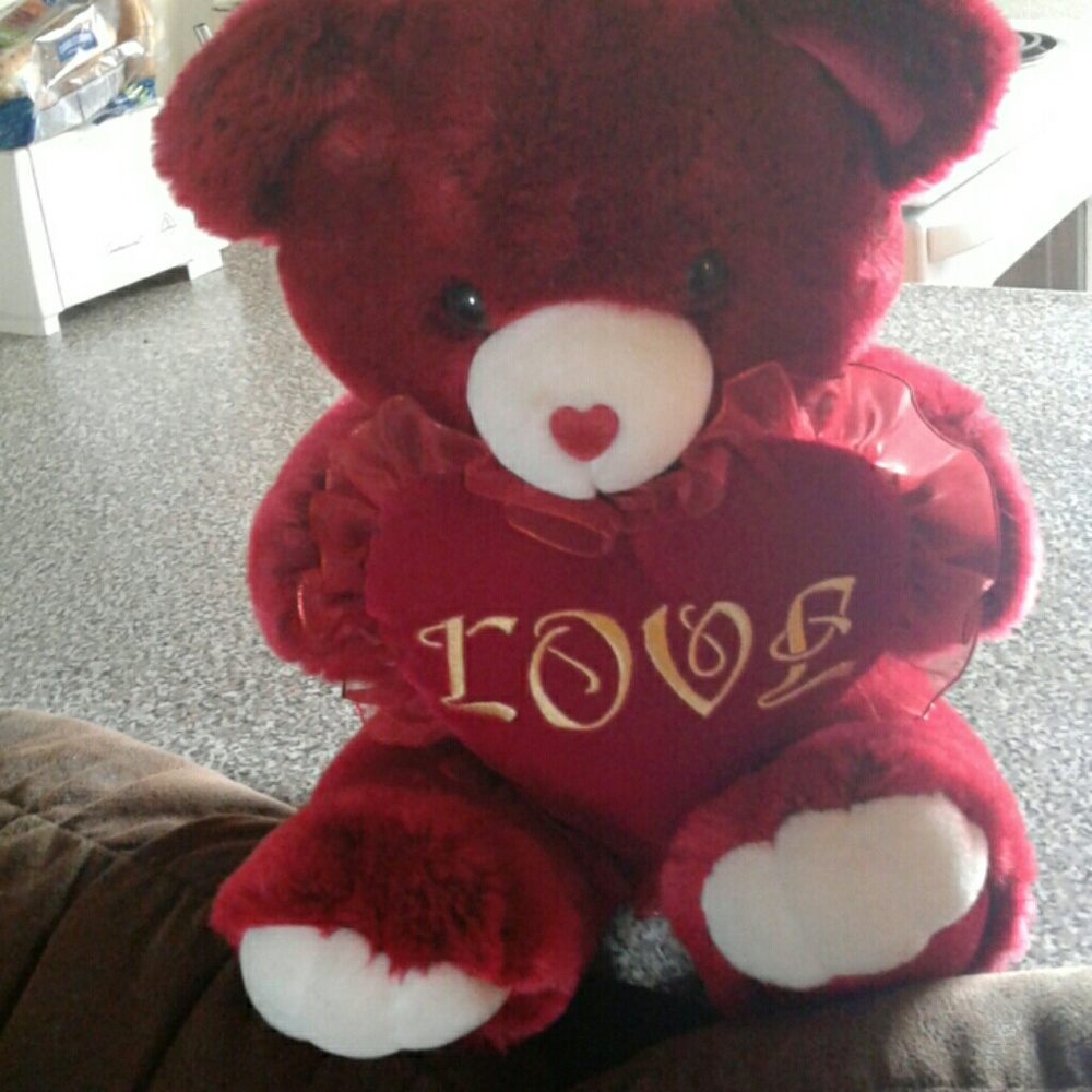 NEW  TEDDY