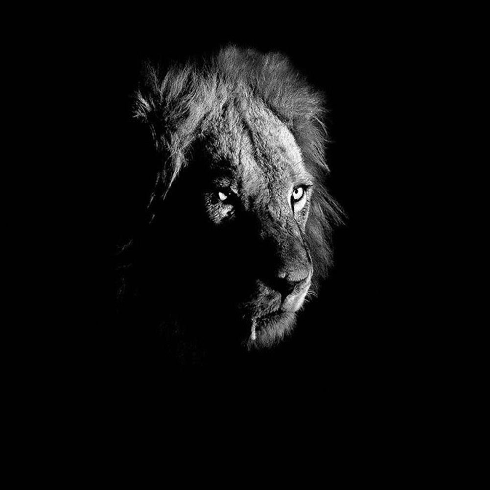 Meet your Posher, Cecilia