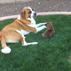 Meet your Posher, Jackie