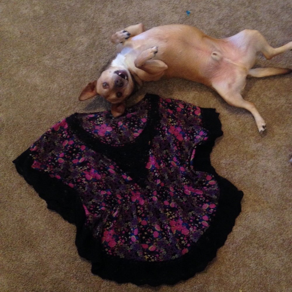 Sheer Floral Cinched Waist Top