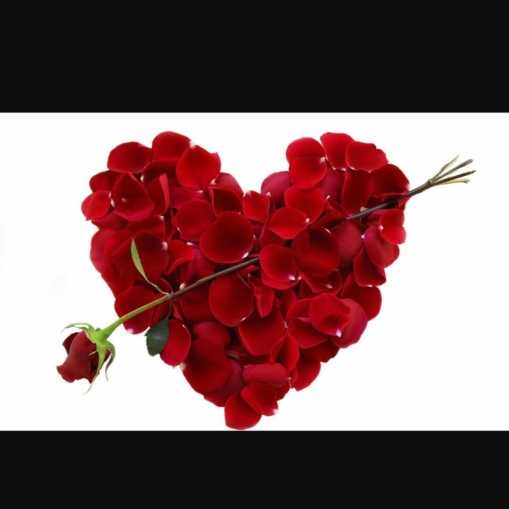 Meet your Posher, Barbie