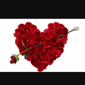 Meet your Posher, Barbie