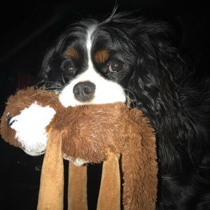 Meet your Posher, Jodi