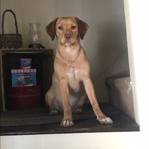 Meet your Posher, Brandon