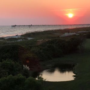 Meet your Posher, Pan