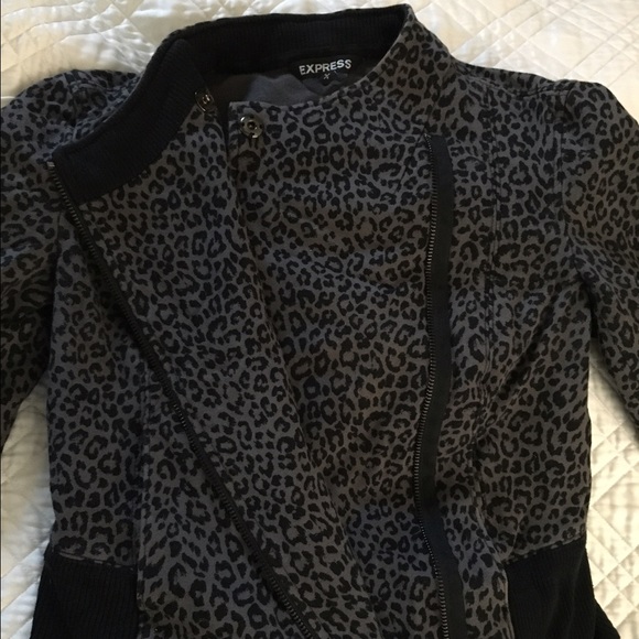 Express Jacket - Picture 4 of 4
