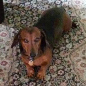 Meet your Posher, Tammie