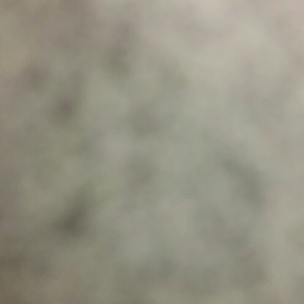 Meet your Posher, Latrice