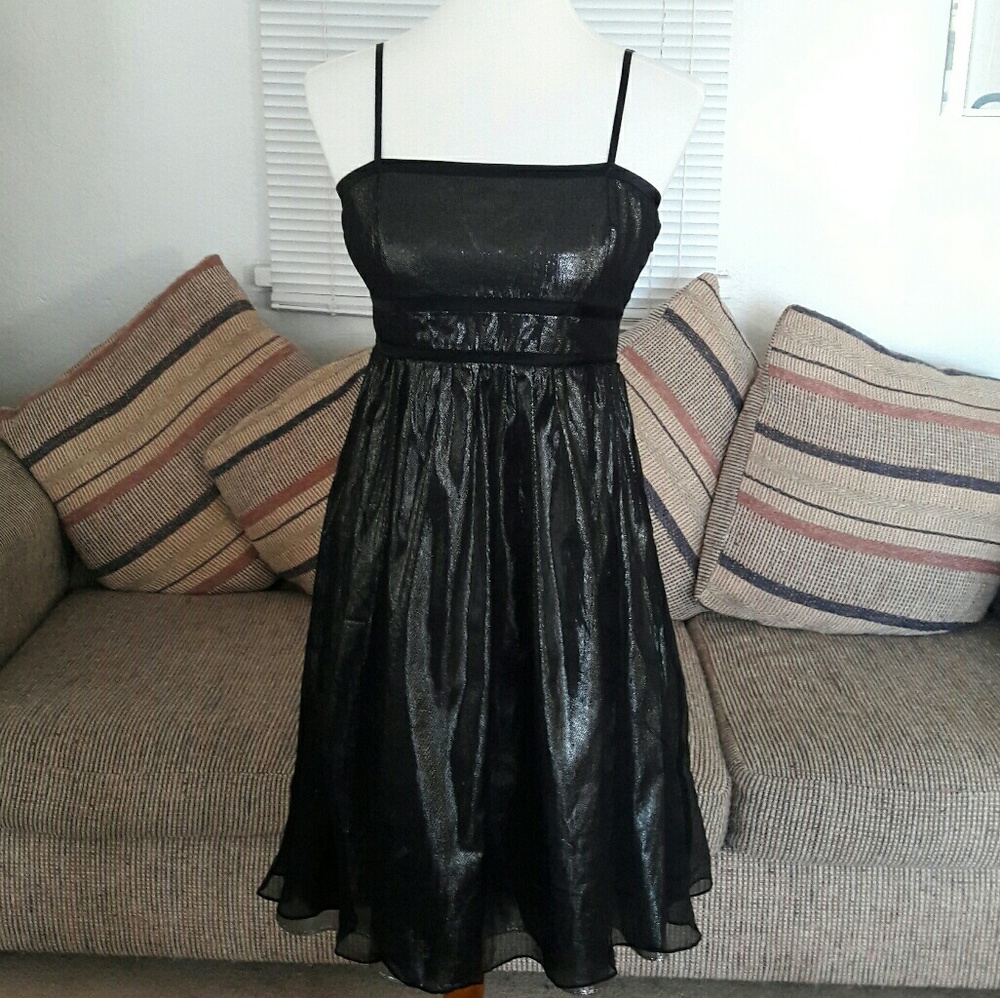 *Calvin Klein* Black/Metallic Silver Lined Dress
