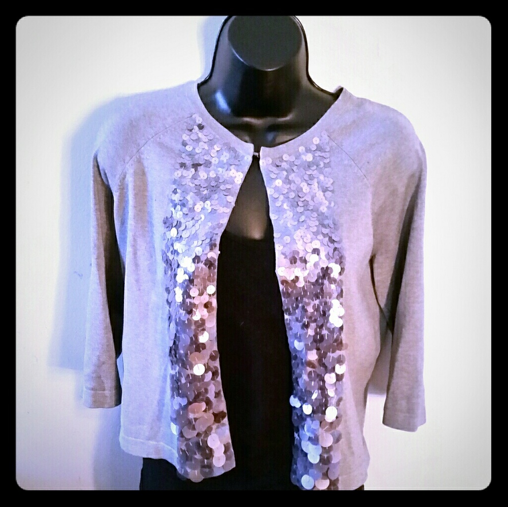 Ann Taylor Sequined Sweater