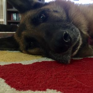 Meet your Posher, Brittaney