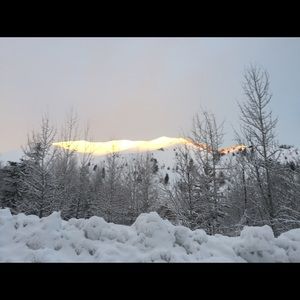 Meet your Posher, Zoe