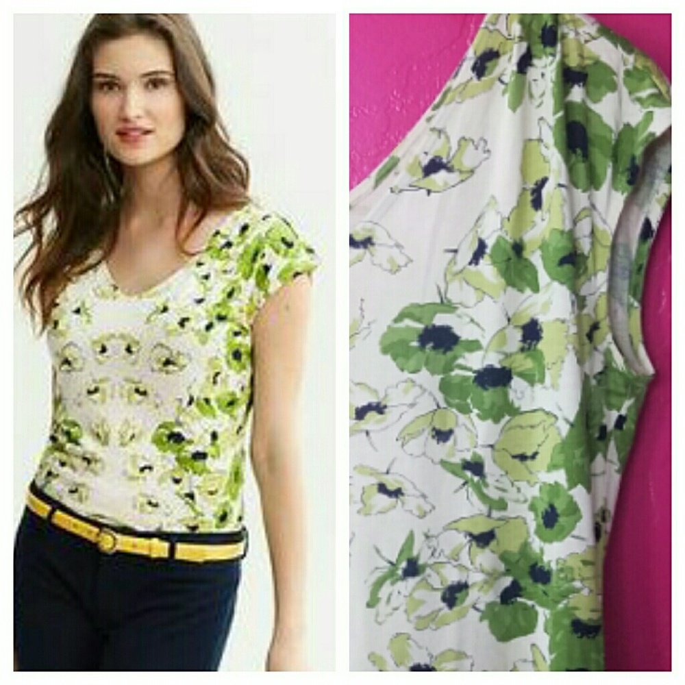 Banana Republic Gingko Leaf V Neck Top