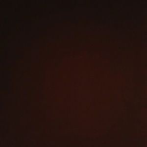 Meet your Posher, Briana