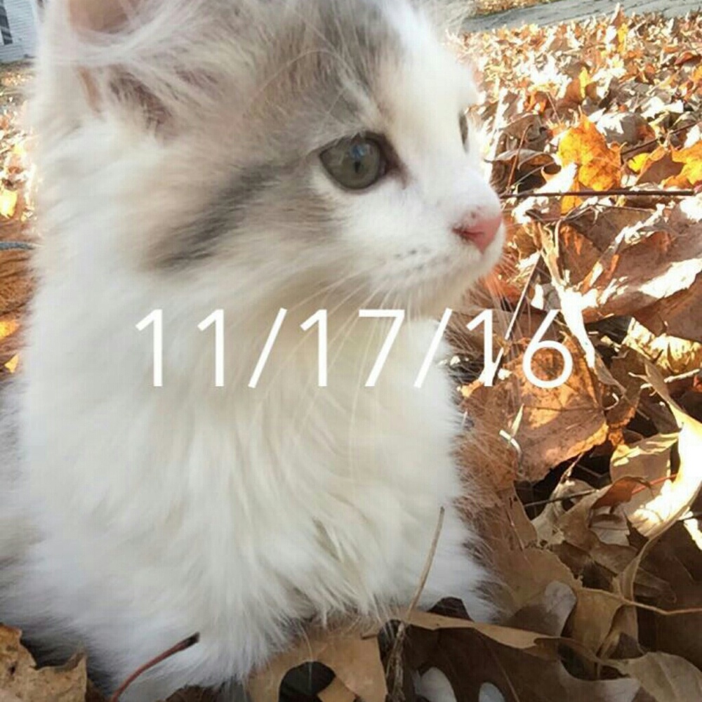 Meet your Posher, Meand3electrons