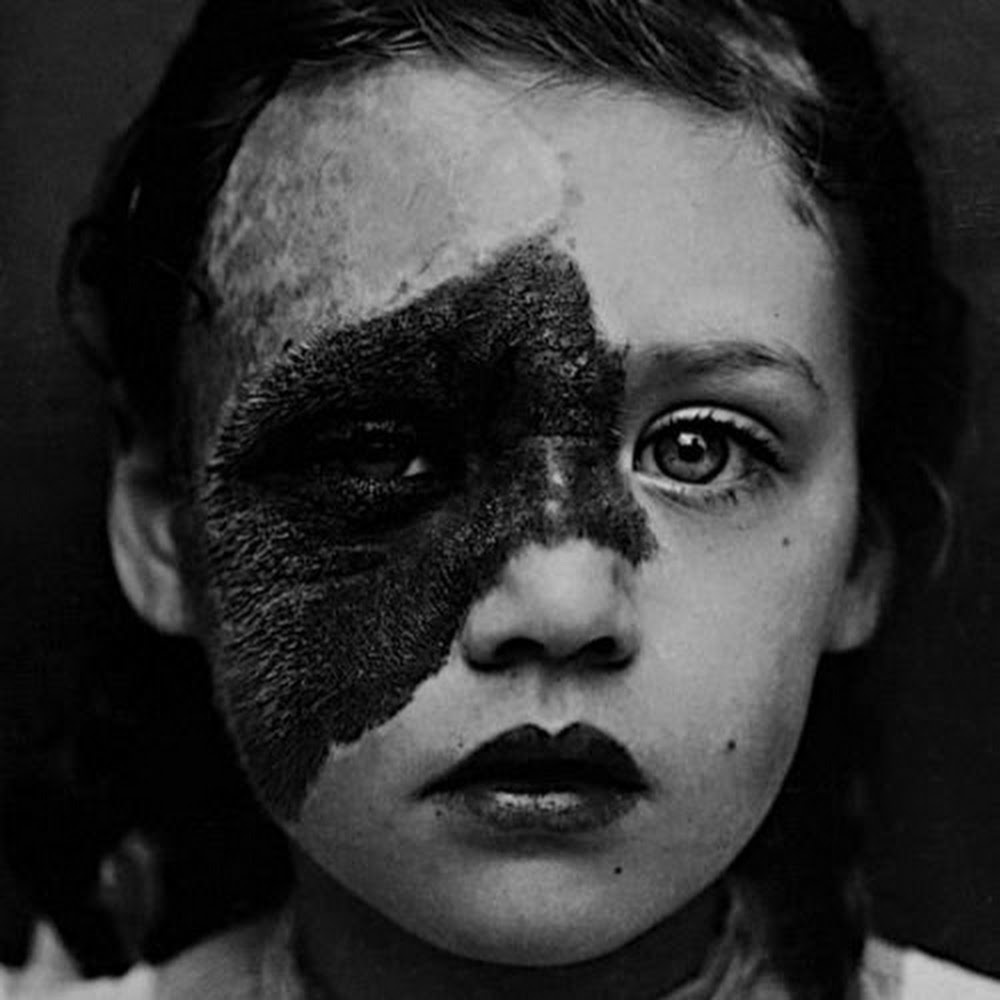 Meet your Posher, Bambi