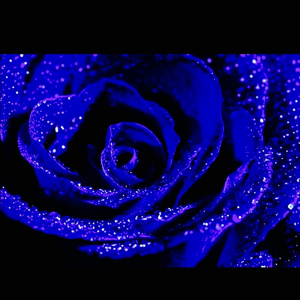 Meet your Posher, Blu